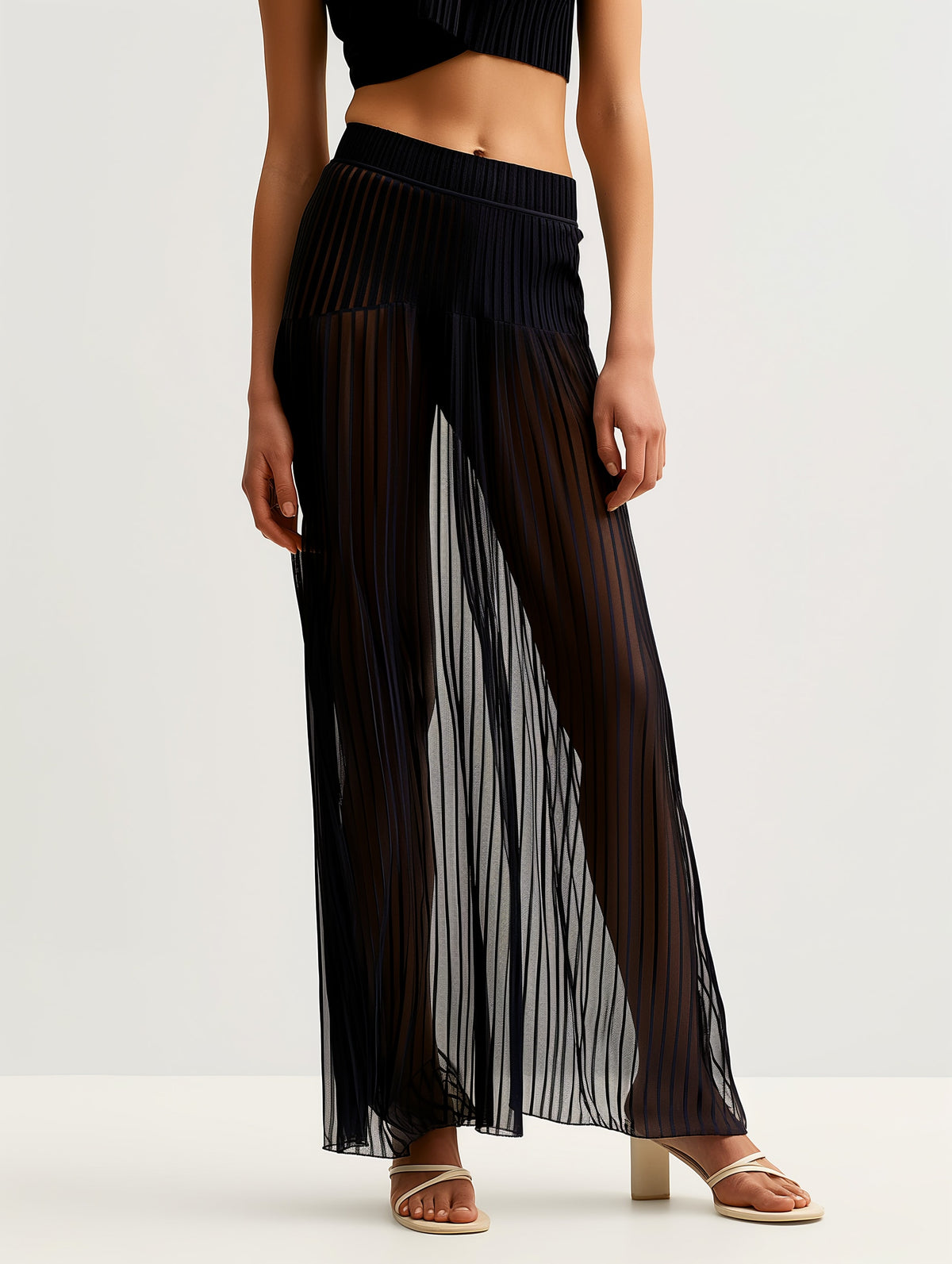 Pleated Sheer Maxi Skirt